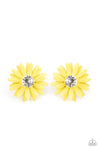 Sunshiny DAIS-y - Yellow
